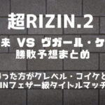 超RIZIN.2「朝倉未来 VS ヴガール・ケラモフ」勝敗予想まとめ