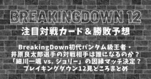 【BreakingDown12】ブレイキングダウン12の対戦カード・勝敗予想まとめ